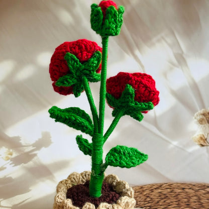 Handmade Crochet Roses in Pot