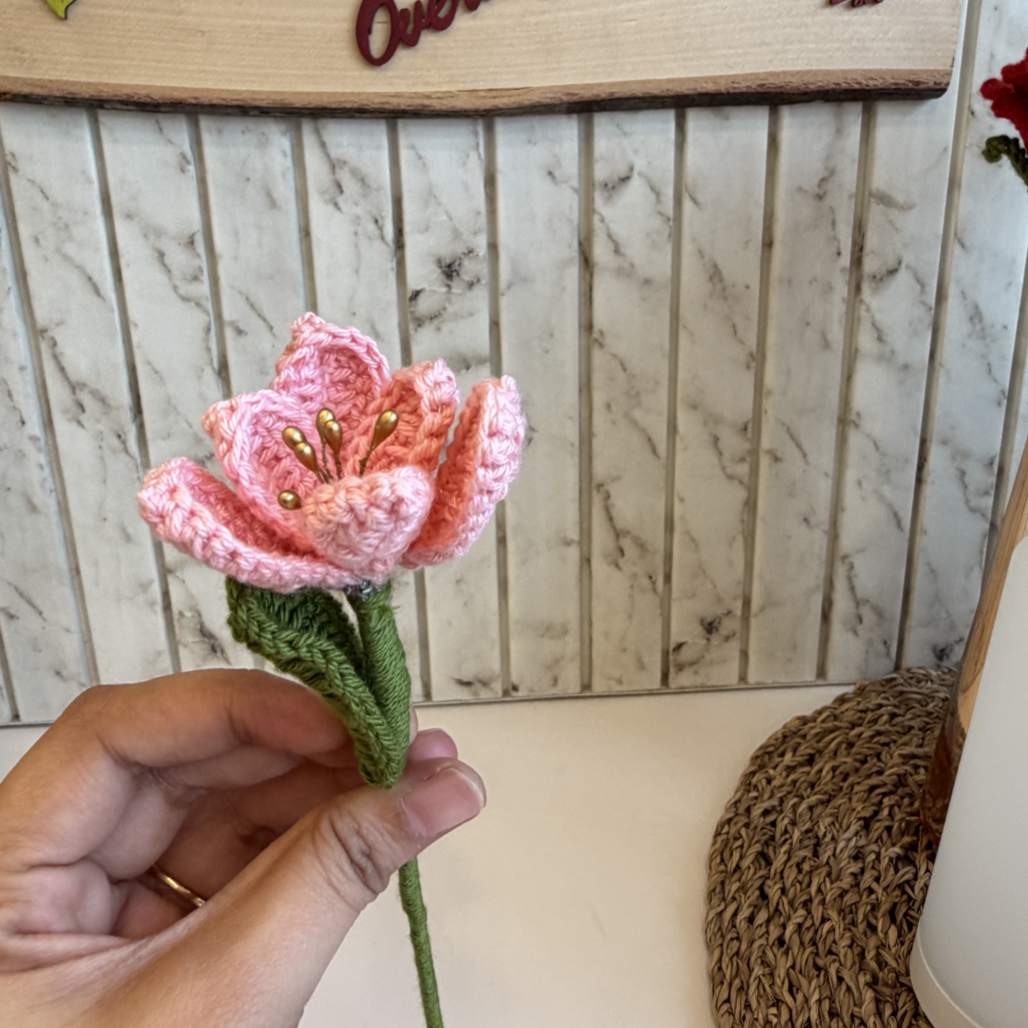 Open Tulip