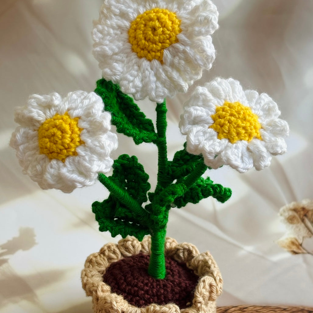 Handmade Crochet Daisies in Pot