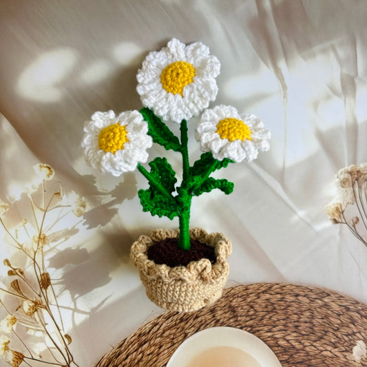Handmade Crochet Daisies in Pot