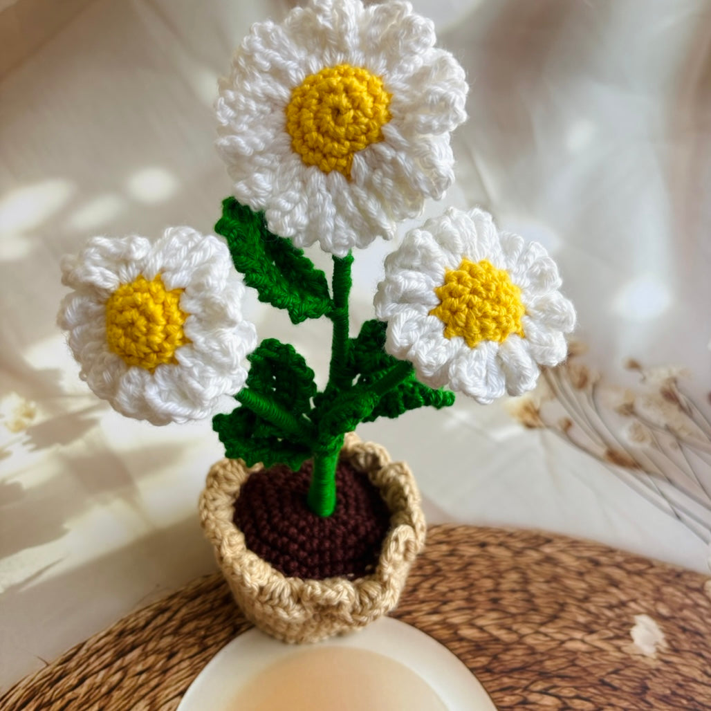 Handmade Crochet Daisies in Pot