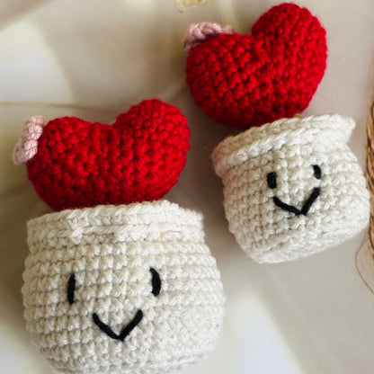 Crochet Love Pot (Set of 2)