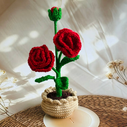 Handmade Crochet Roses in Pot
