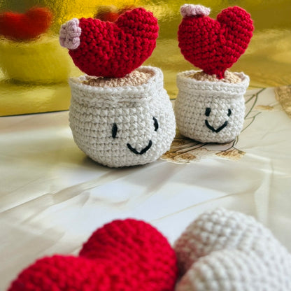 Crochet Love Pot (Set of 2)