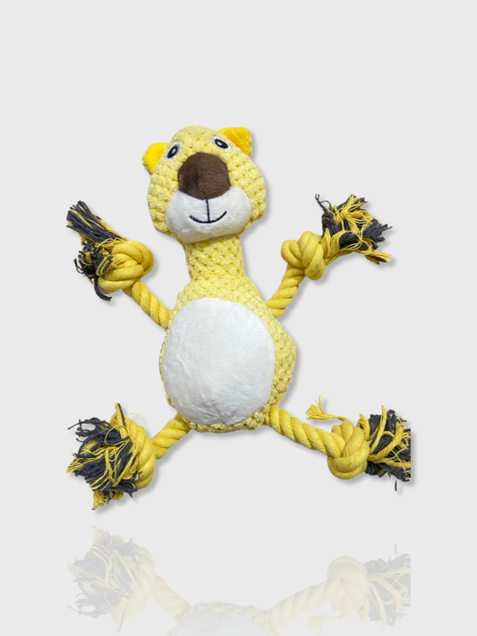 Bear Plush with Rope Toy